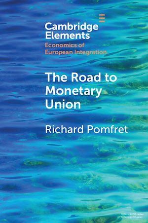 Download the eBook: The Road to Monetary Union
