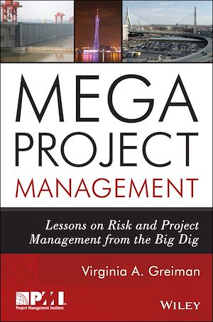 Téléchargez le livre :  Megaproject Management
