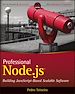 Télécharger le livre :  Professional Node.js