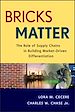 Télécharger le livre :  Bricks Matter