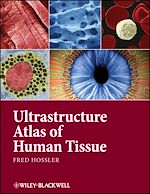 Télécharger le livre :  Ultrastructure Atlas of Human Tissues