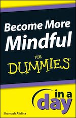 Télécharger le livre :  Become More Mindful In A Day For Dummies