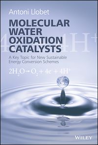 Téléchargez le livre :  Molecular Water Oxidation Catalysis