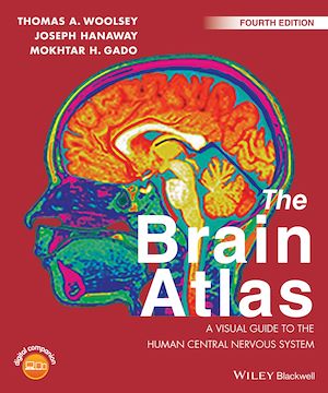 Download the eBook: The Brain Atlas