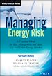 Télécharger le livre :  Managing Energy Risk