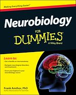 Télécharger le livre :  Neurobiology For Dummies