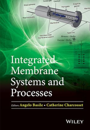 Download the eBook: Integrated Membrane Systems and Processes