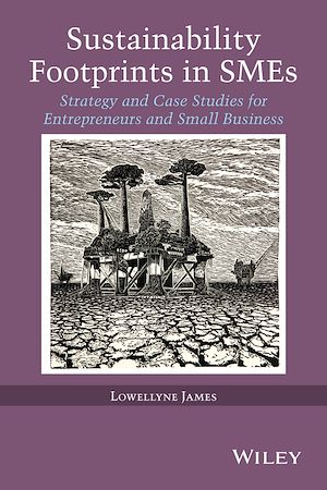 Téléchargez le livre :  Sustainability Footprints in SMEs