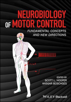 Download the eBook: Neurobiology of Motor Control