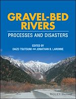 Download this eBook Gravel-Bed Rivers