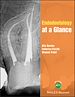 Télécharger le livre :  Endodontology at a Glance
