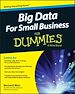 Télécharger le livre :  Big Data For Small Business For Dummies