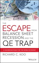 Télécharger le livre :  The Escape from Balance Sheet Recession and the QE Trap