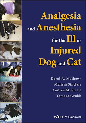 Download the eBook: Analgesia and Anesthesia for the Ill or Injured Dog and Cat