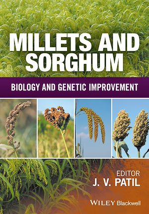 Téléchargez le livre :  Millets and Sorghum