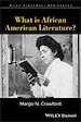 Télécharger le livre :  What is African American Literature?