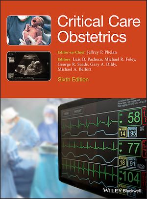 Download the eBook: Critical Care Obstetrics