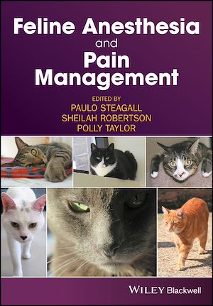 Download the eBook: Feline Anesthesia and Pain Management