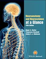 Télécharger le livre :  Neuroanatomy and Neuroscience at a Glance