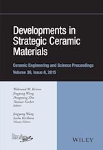 Télécharger le livre :  Developments in Strategic Ceramic Materials