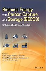 Télécharger le livre :  Biomass Energy with Carbon Capture and Storage (BECCS)