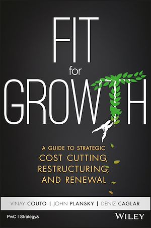 Téléchargez le livre :  Fit for Growth