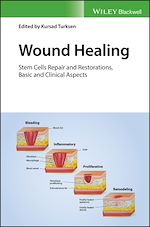 Télécharger le livre :  Wound Healing
