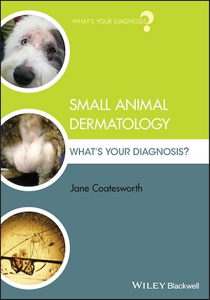 Download the eBook: Small Animal Dermatology