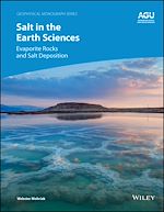 Télécharger le livre :  Salt in the Earth Sciences