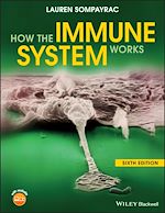 Télécharger le livre :  How the Immune System Works