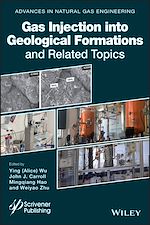 Télécharger le livre :  Gas Injection into Geological Formations and Related Topics