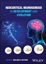Télécharger le livre :  Neocortical Neurogenesis in Development and Evolution