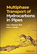 Télécharger le livre :  Multiphase Transport of Hydrocarbons in Pipes