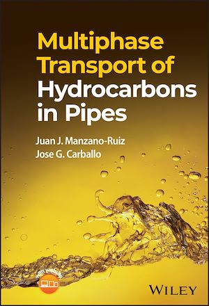 Téléchargez le livre :  Multiphase Transport of Hydrocarbons in Pipes