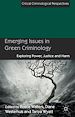 Télécharger le livre :  Emerging Issues in Green Criminology
