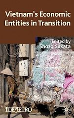 Télécharger le livre :  Vietnam's Economic Entities in Transition