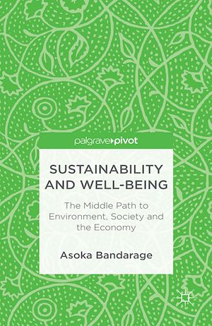 Téléchargez le livre :  Sustainability and Well-Being