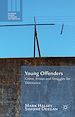 Télécharger le livre :  Young Offenders