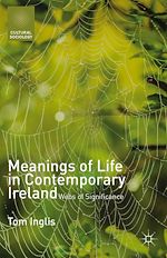 Télécharger le livre :  Meanings of Life in Contemporary Ireland