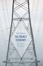 Télécharger le livre :  The Energy Economy