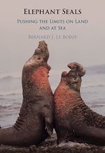 Télécharger le livre :  Elephant Seals