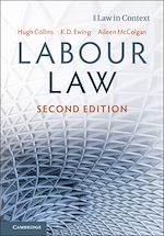 Télécharger le livre :  Labour Law
