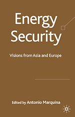 Télécharger le livre :  Energy Security