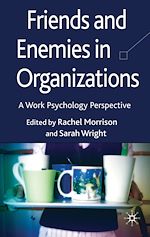 Télécharger le livre :  Friends and Enemies in Organizations