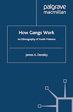 Télécharger le livre :  How Gangs Work