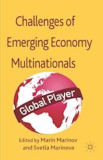 Télécharger le livre :  Successes and Challenges of Emerging Economy Multinationals
