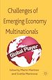 Télécharger le livre :  Successes and Challenges of Emerging Economy Multinationals