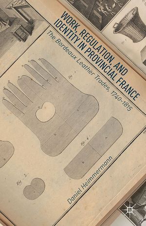 Téléchargez le livre :  Work, Regulation, and Identity in Provincial France