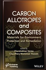 Télécharger le livre :  Carbon Allotropes and Composites