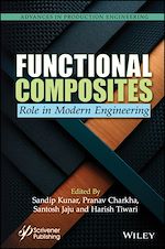 Télécharger le livre :  Functional Composites